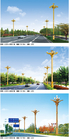 12 Foot  10 Foot LED Pole Street Lights Ip65 Outdoor Commercial Lighting