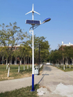 Solar LED Street Lights, Working Temp:-20℃~+50℃, Color Temp: 6000K